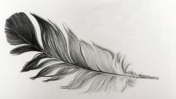 Как нарисовать перо птицы