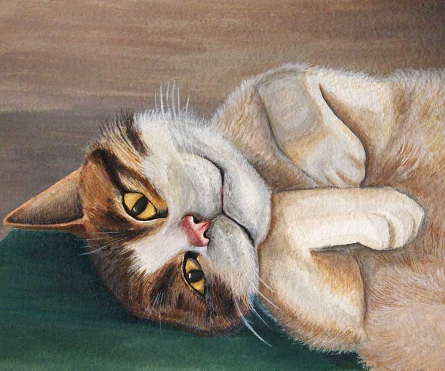 Как нарисовать кота акварелью пошагово