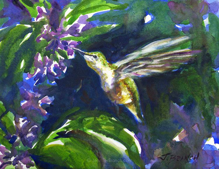 колибри акварелью