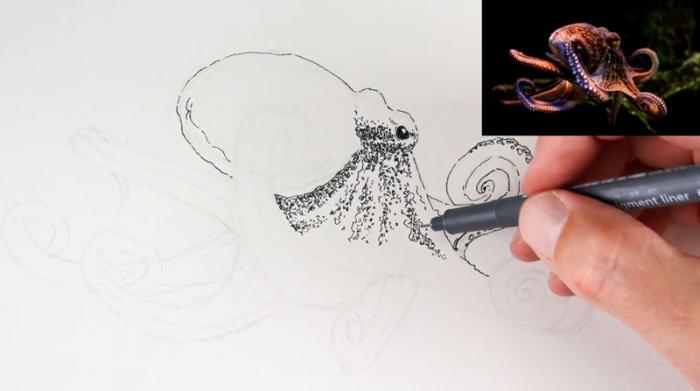 рисование осьминога