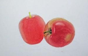 Как нарисовать яблоко акварелью - шаг 10