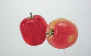 Как нарисовать яблоко акварелью - шаг 12