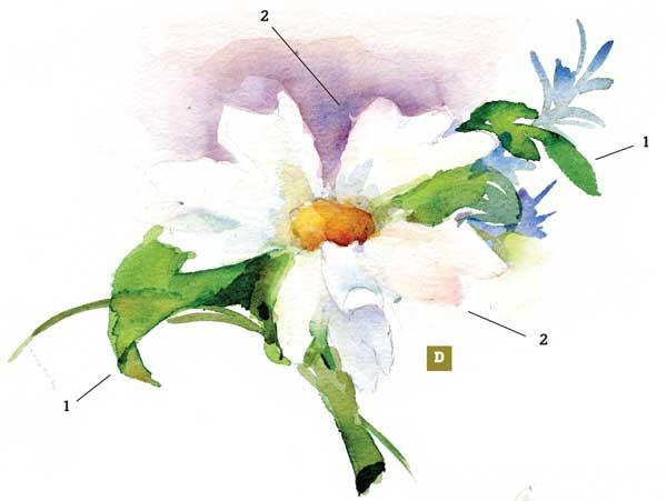 рисуем цветы акварелью - шаг 2