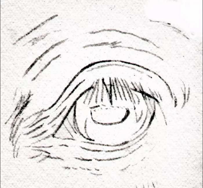 Рисуем глаз лошади цветными карандашами - шаг 1