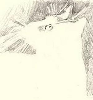Рисуем кошку простым карандашом - шаг 2