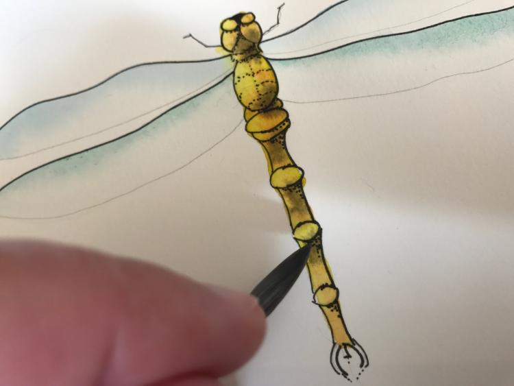 Рисуем красивую стрекозу акварелью - шаг 10