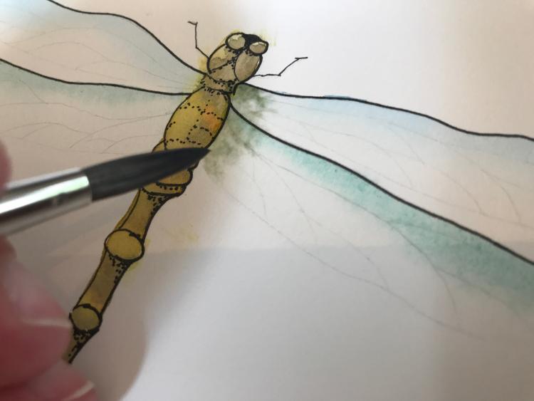Рисуем красивую стрекозу акварелью - шаг 11