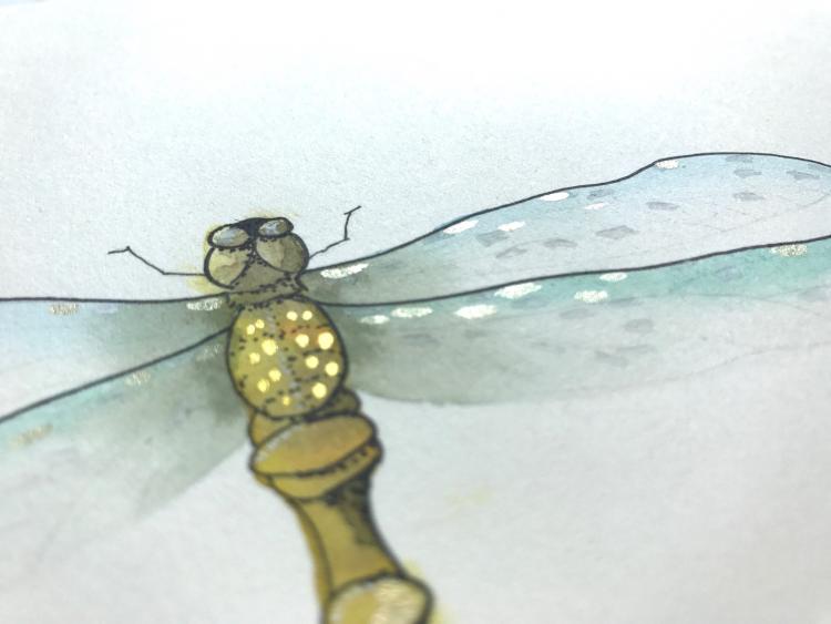 Рисуем красивую стрекозу акварелью - шаг 12