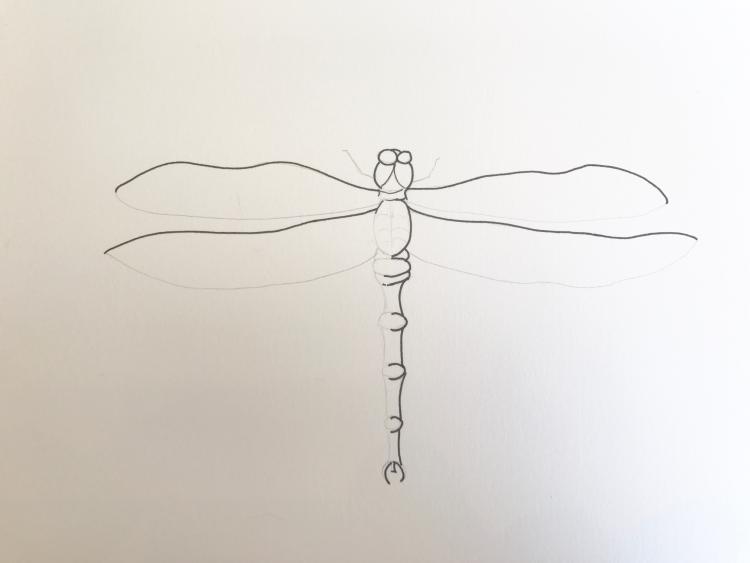 Рисуем красивую стрекозу акварелью - шаг 2
