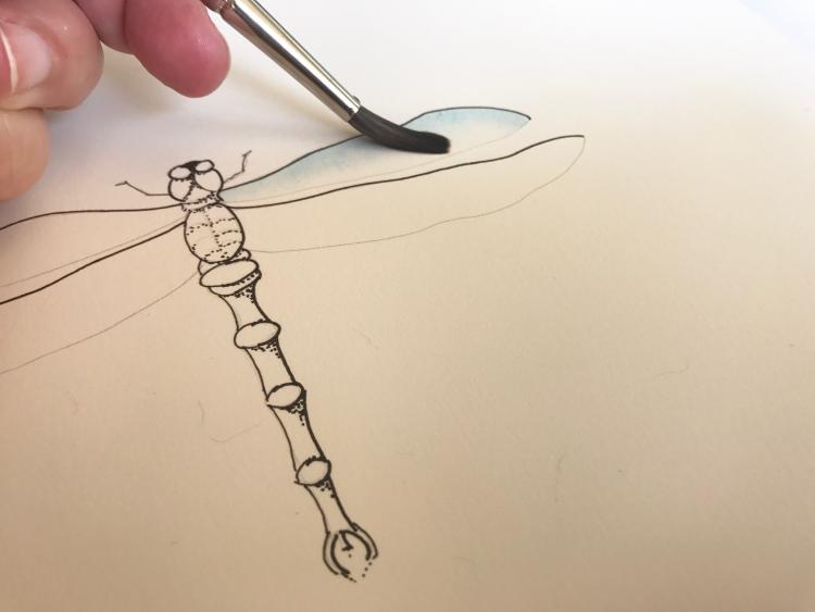 Рисуем красивую стрекозу акварелью - шаг 5
