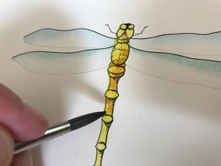 Рисуем красивую стрекозу акварелью - шаг 7
