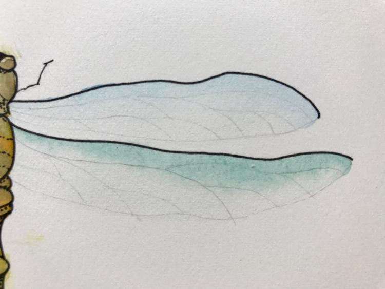 Рисуем красивую стрекозу акварелью - шаг 9