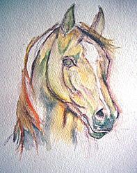 Рисуем лошадь акварелью - шаг 2