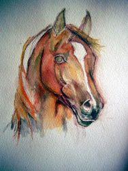 Рисуем лошадь акварелью - шаг 3