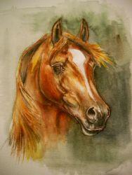Рисуем лошадь акварелью - шаг 5