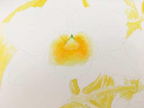 Рисуем орхидею акварелью - шаг 3