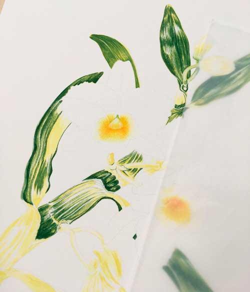 Рисуем орхидею акварелью - шаг 4