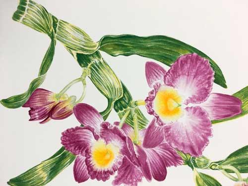 Рисуем орхидею акварелью - шаг 7
