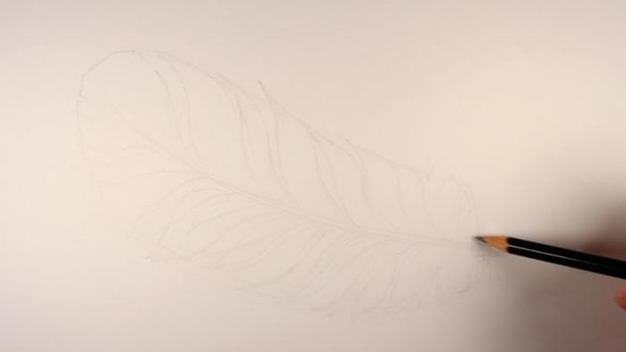 Рисуем перо птицы - шаг 3
