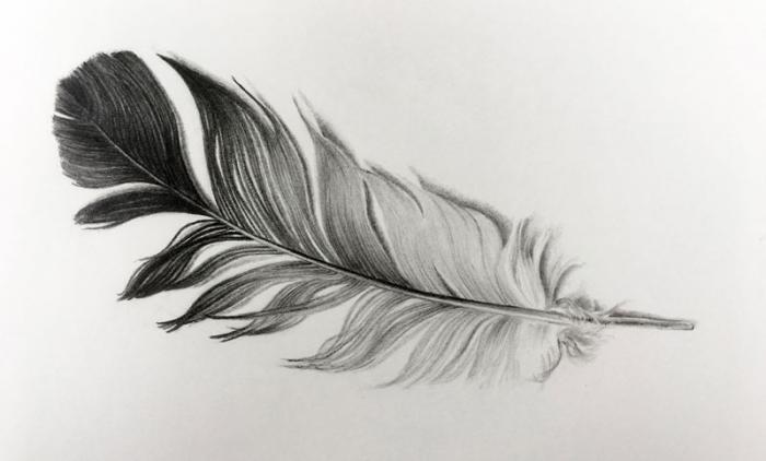 Рисуем перо птицы - шаг 8