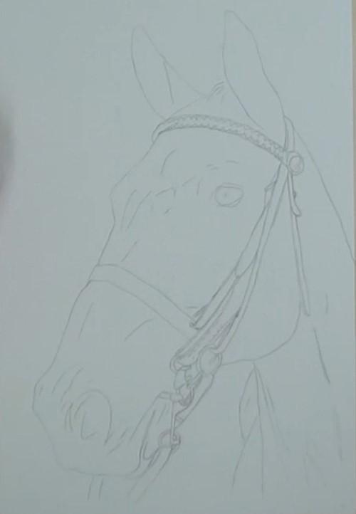 Рисуем портрет лошади акварелью - шаг 1