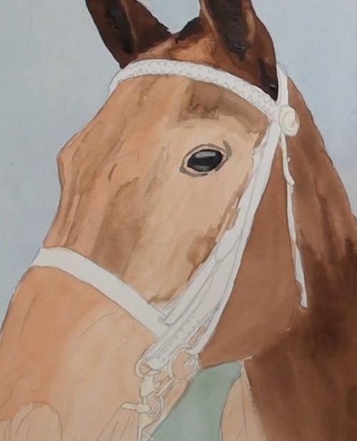 Рисуем портрет лошади акварелью - шаг 10