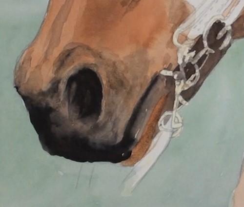 Рисуем портрет лошади акварелью - шаг 13
