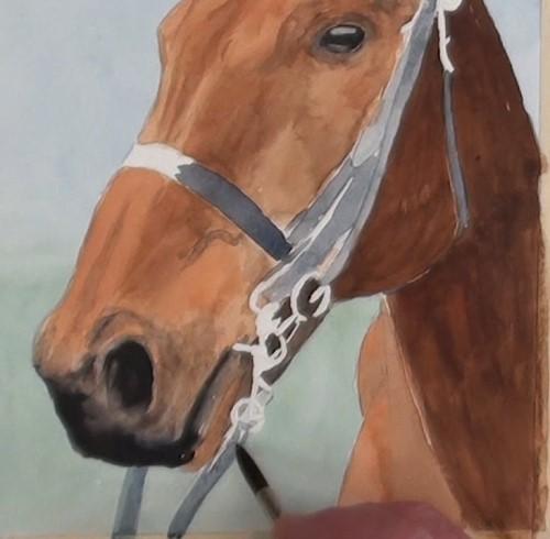 Рисуем портрет лошади акварелью - шаг 14