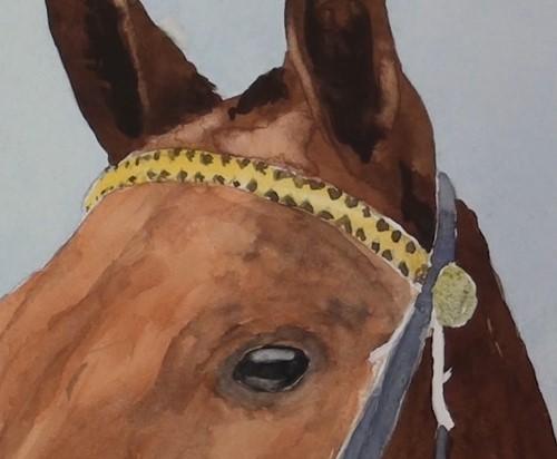 Рисуем портрет лошади акварелью - шаг 15