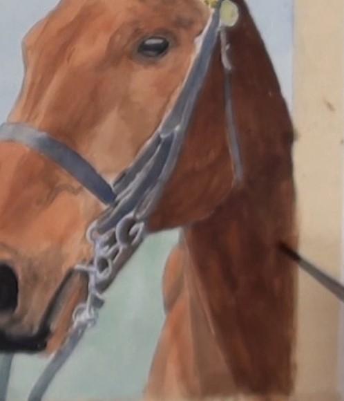 Рисуем портрет лошади акварелью - шаг 17