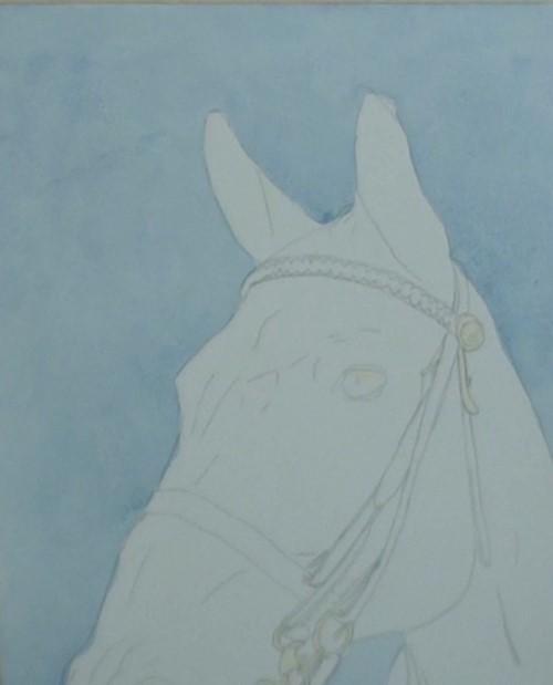 Рисуем портрет лошади акварелью - шаг 3