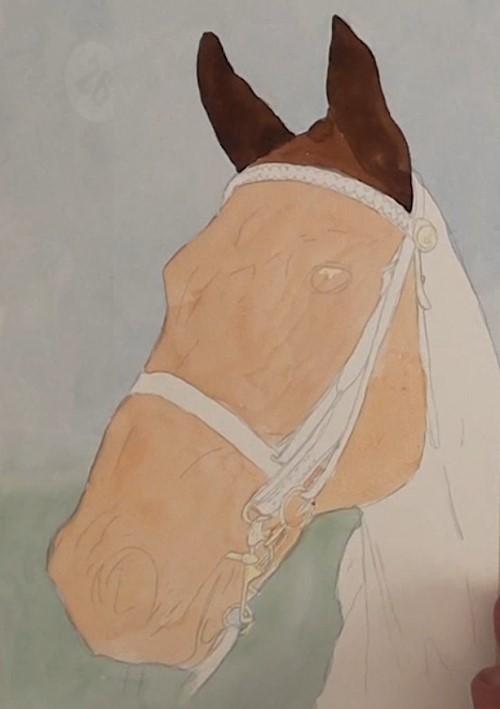 Рисуем портрет лошади акварелью - шаг 6