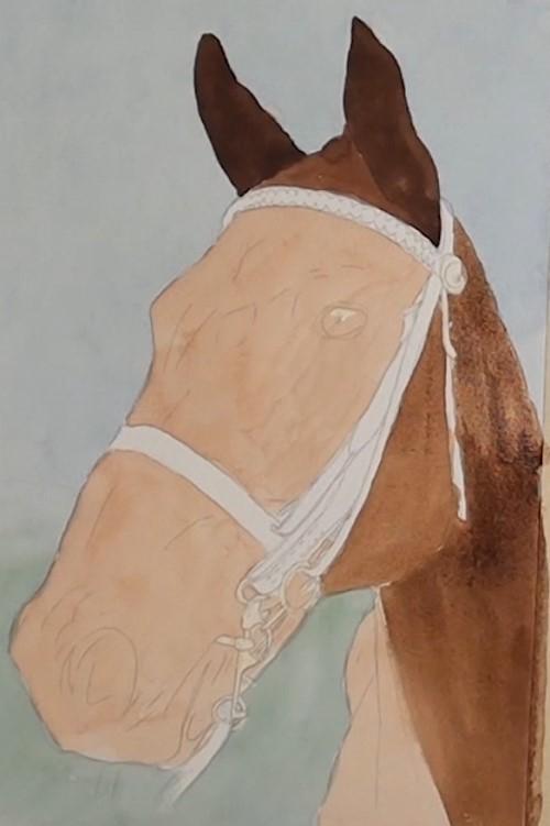 Рисуем портрет лошади акварелью - шаг 7