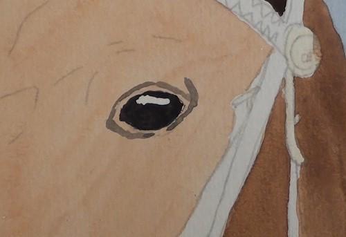 Рисуем портрет лошади акварелью - шаг 8