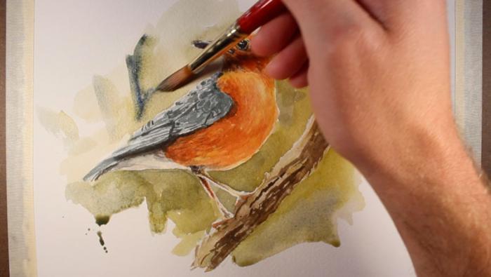 как нарисовать птицу акварелью, шаг 13