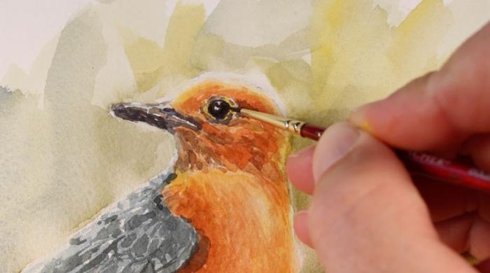 как нарисовать птицу акварелью, шаг 15