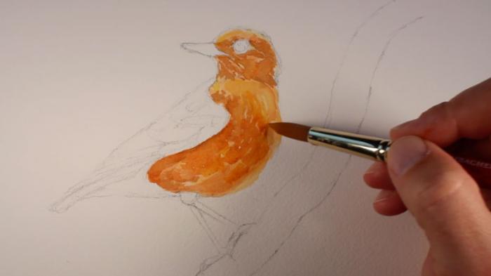 как нарисовать птицу акварелью, шаг 3