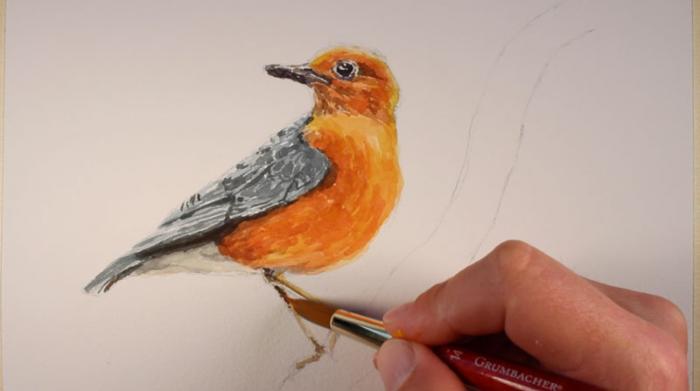 как нарисовать птицу акварелью, шаг 8