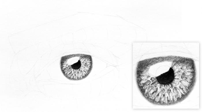 Рисуем реалистичную радужку глаза - шаг 8