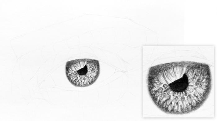 Рисуем реалистичную радужку глаза - шаг 9