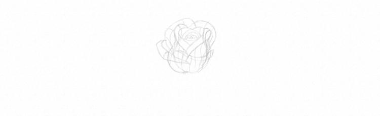 Как нарисовать розу карандашом - шаг 16