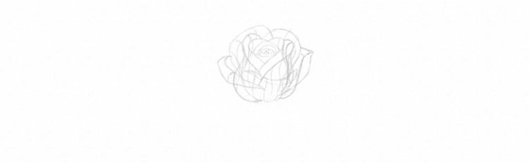 Как нарисовать розу карандашом - шаг 17