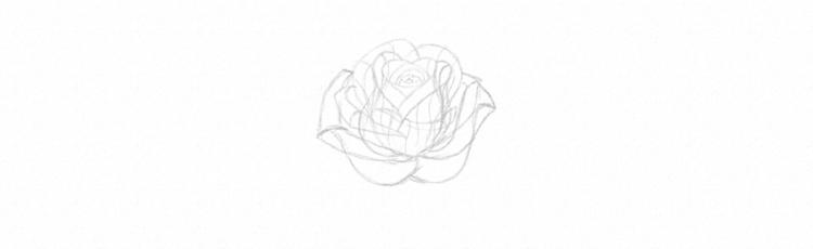 Как нарисовать розу карандашом - шаг 18