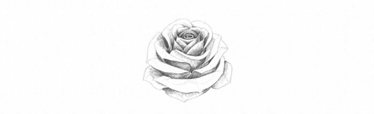 Как нарисовать розу карандашом - шаг 23