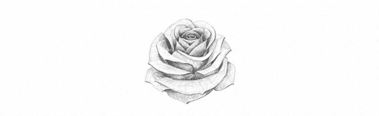 Как нарисовать розу карандашом - шаг 25