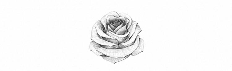 Как нарисовать розу карандашом - шаг 26