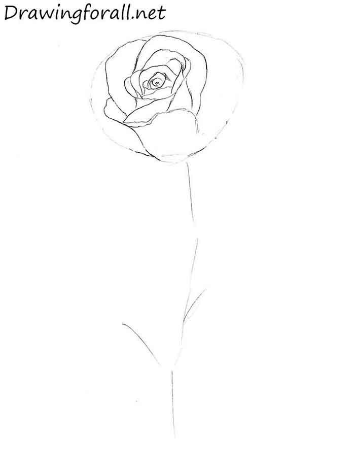 Как легко нарисовать розу за 10 шагов - шаг 6