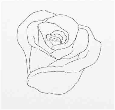 Как нарисовать розу - шаг 12