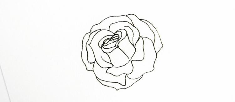 Рисуем розу ручками Sakura - шаг 6