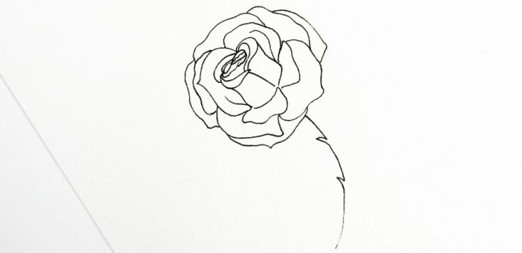 Рисуем розу ручками Sakura - шаг 7